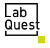 Avocado Media