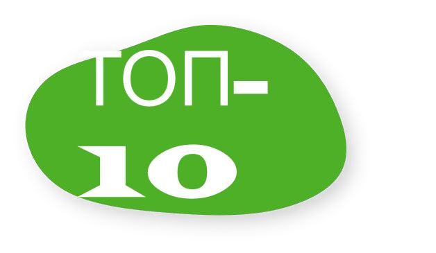 Avocado Media
